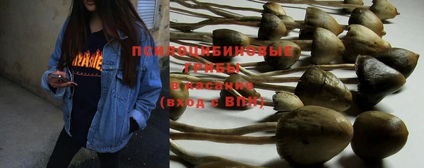 прущие крисы Кинешма