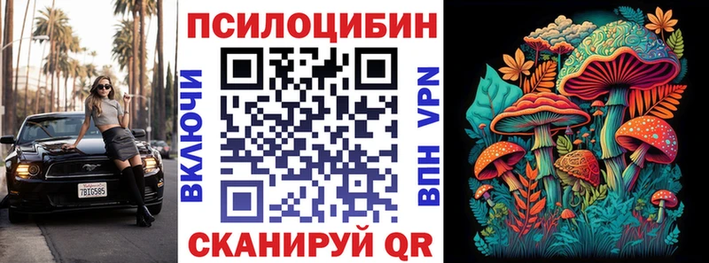 Купить Ливны Псилоцибиновые грибы мицелий